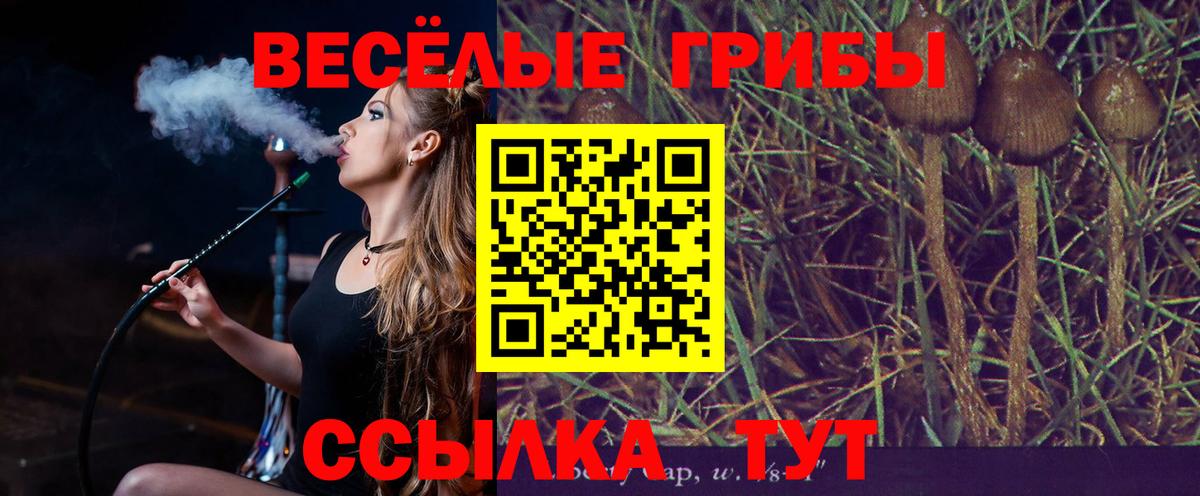 Галлюциногенные грибы ЛСД  Вход с VPN  Славгород 